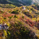 万山红遍