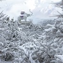 瑞雪吉祥